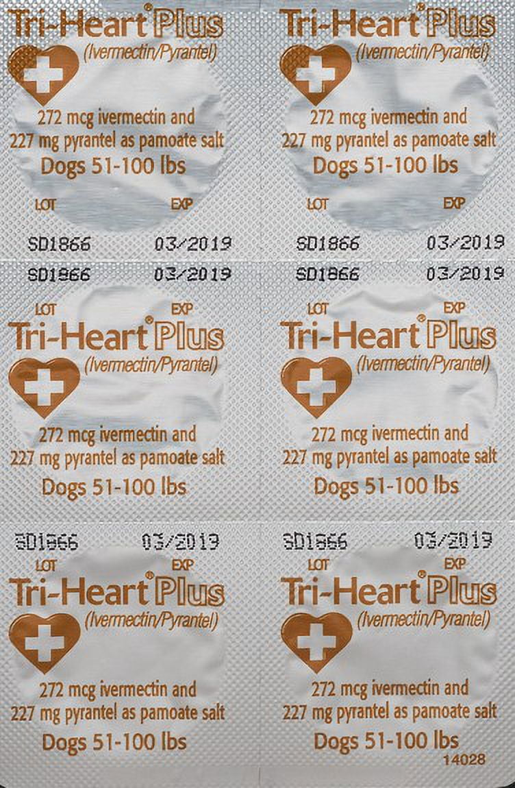 Tri Heart Plus Chewable Tablet for Dogs 26 50 lbs Green Box 6