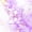 Golden Purple 06, variant on Manfei Marbling 7-Piece Twin Bedding,Cartoon Initial L Bedding Comforter Set,Purple,Polkadot Reversible