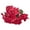 Red, variant on Artificial Impatiens Bouquet Flowers for Outdoors Silk Faux Flowers for Outdoor Impatiens Plants Decor Indoor Planters Kitchen Planters and Balcony Decorations