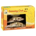thumbnail image 3 of Searay Swimming Crab Whole, 3 of 7