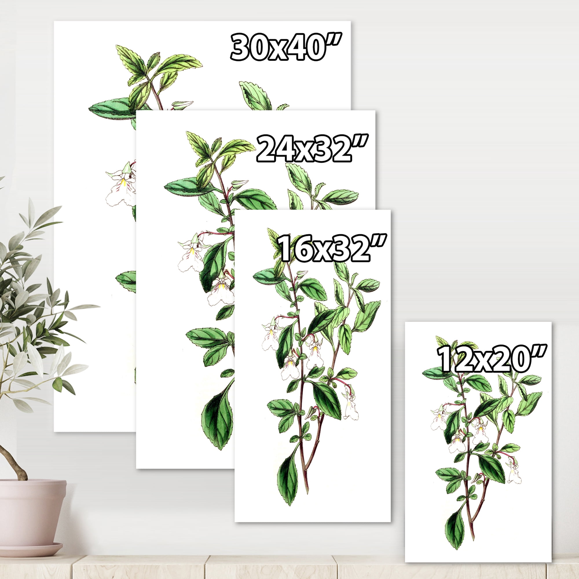 Designart ' Ancient Green Leaves Plants VII ' Traditional Canvas Wall Art Print