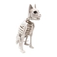 thumbnail image 3 of Esqueleto de gato realista para Halloween, decoración de 5,9 x 9,4 x 13,4 pulgadas para cementerio, , multifuncional, de animal realista., 3 of 9