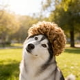 thumbnail image 4 of Pet Wig For Halloween And Photos, Funny Dog Wig With Adjustable Band, Cat And Dog Hairpiece For Halloween Parties And Holidays,Light Brown - 14Cm, 4 of 4