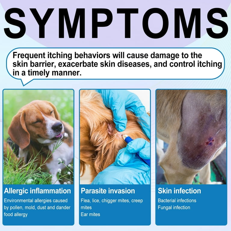 Dog flea allergy best sale relief