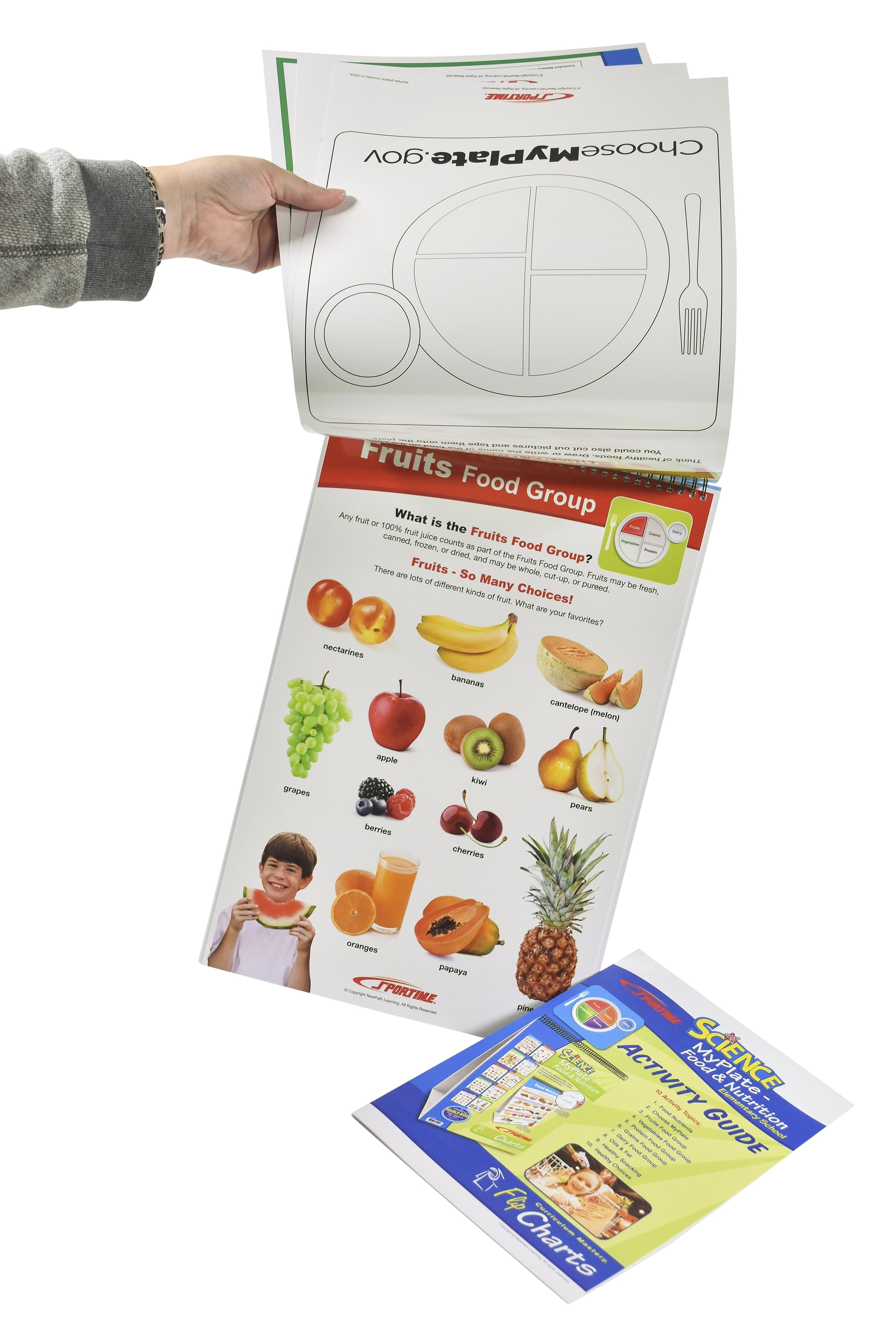 Sportime 2013484 My Plate Food Groups Flip Chart Set - Grade 1-4