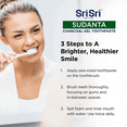 thumbnail image 2 of Sri Sri Tattva Sudanta Charcoal Toothpaste Gel, Fluoride-Free Teeth Whitening, 100g, 2 of 11