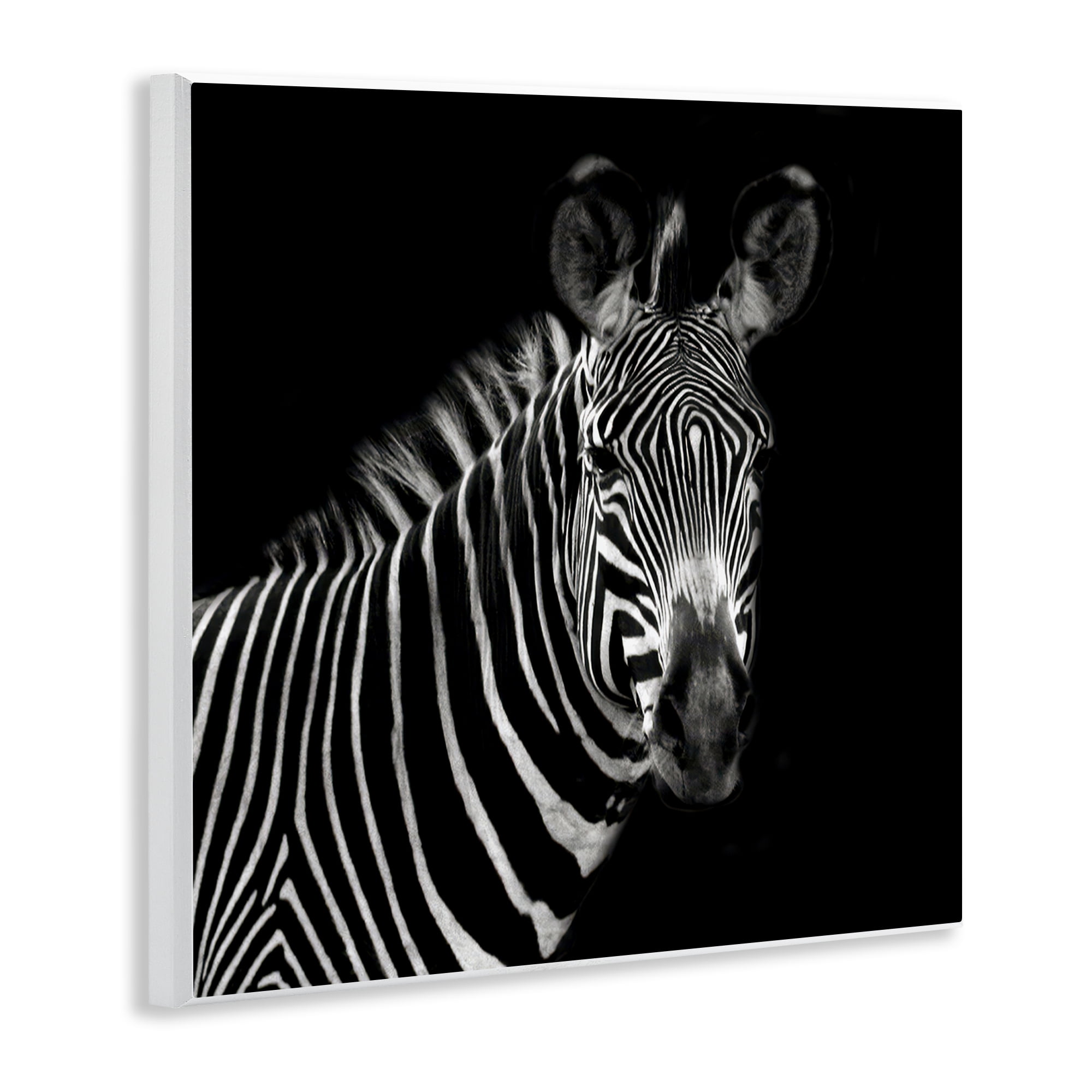 Stupell Industries Jungle Zebra Portrait Animals Photography Unframed Art Print Wall Art, 12 x 12