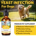 thumbnail image 2 of Tratamiento Natural para Infección por Levadura en Perros Daiasns 60 ml Gotas, 2 of 8