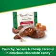 thumbnail image 2 of RUSSELL STOVER Sugar Free Pecan Delight Chocolate Candy, 3 oz. bag (≈ 5 pieces), 2 of 9