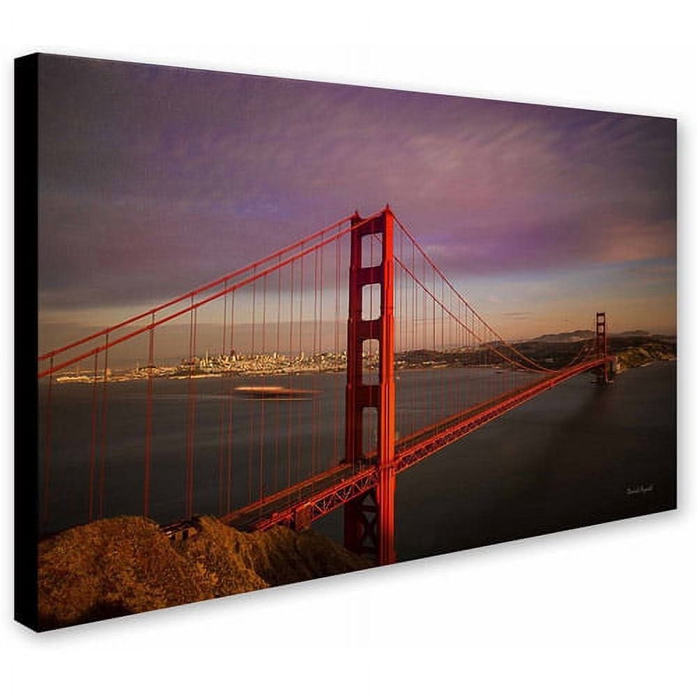 "Golden Gate Bridge" Canvas Art by David Ayash