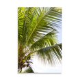 thumbnail image 2 of Gango Home Decor Contemporary Tropical Coconut Tree by Karyn Millet (Printed on Paper); One 24x36in Fine Art Paper Giclee Print, 2 of 4