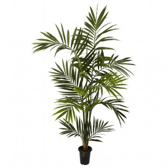 6 in. Kenitia Palm Silk Tree
