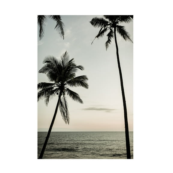 Trademark Fine Art Shot by Clint Easy Ride Canvas Wall Art