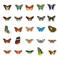 thumbnail image 4 of 50 pegatinas de mariposas vintage, 4 of 4