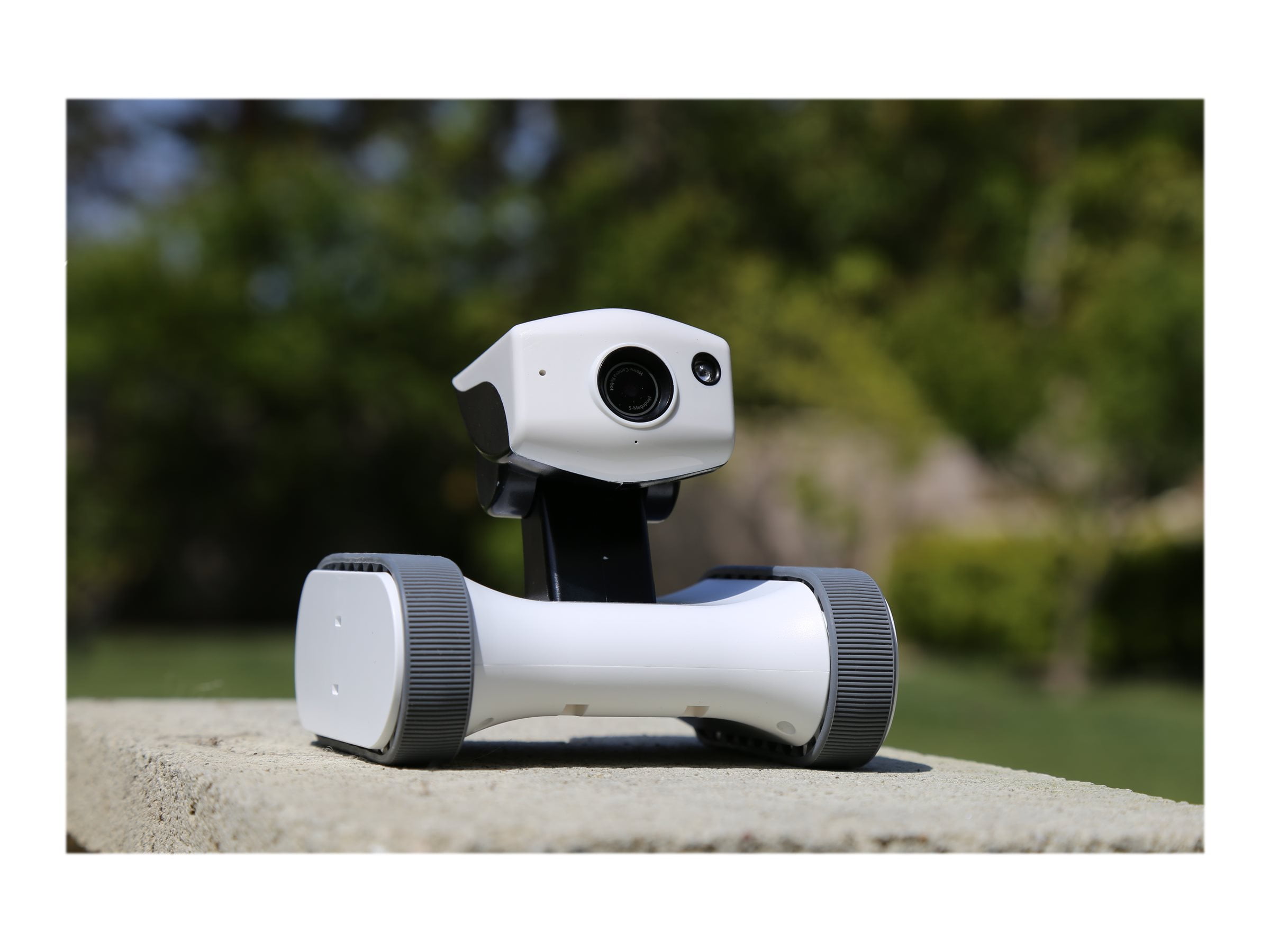 アボット ライリー スマートボーロボット 見守りロボット おどし アボット ライリー スマートボーロボット 見守りロボット おどし