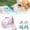 Pink, variant on Pawsip Stainless Steel Travel Bottle, Foldable Pet Water Bottle, Portable Dog Water Bottle for Small Dog Walking, Hiking & Travel, Leak-Proof & Compact Dog Travel