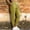 Green, variant on Women's Solid Color Lightweight Polyester Hiking Pants with Pockets for Sun Protection and Daily Wear