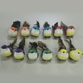 thumbnail image 3 of Yucurem 12Pcs Artificial Birds Diy Crafts Foam Birds Models for Home Living Room (A), 3 of 7