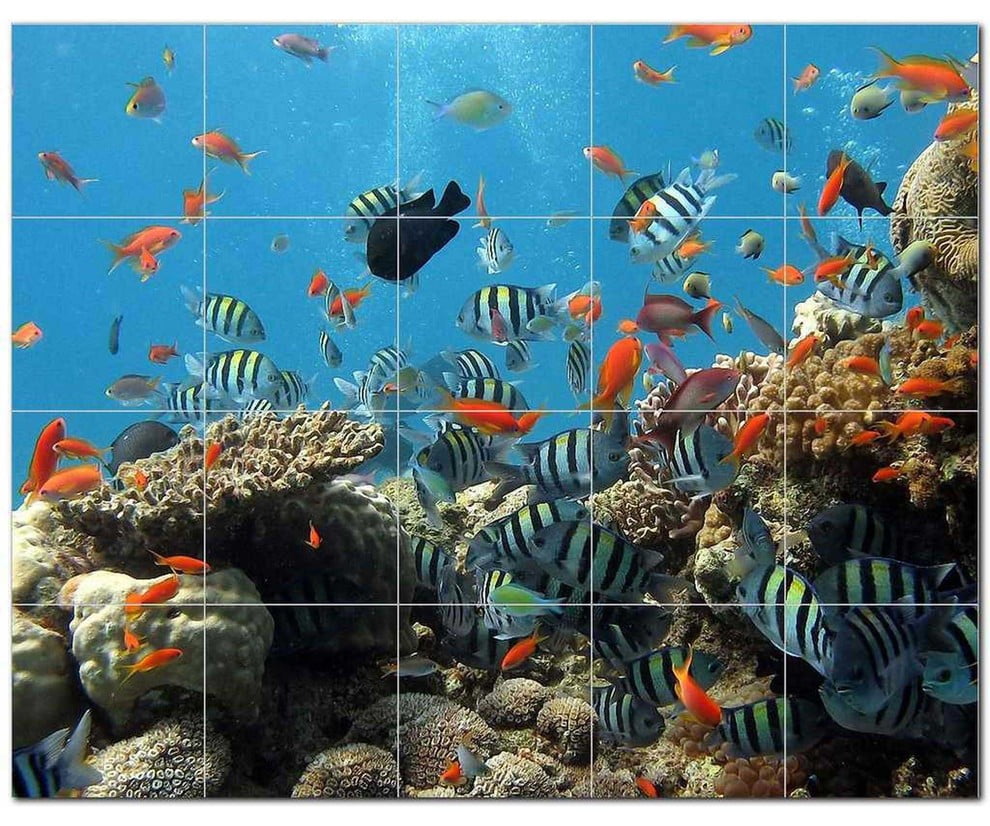 Coral Fish Underwater Ceramic Tile Mural Kitchen Backsplash Bathroom