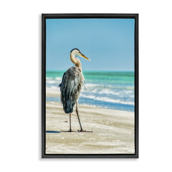 Stupell Industries Reflective Beach Bird Nautical & Beach Photography Black Floater Framed Canvas Art Print Wall Art, 17 x 25