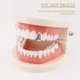 thumbnail image 5 of SKU: 230600Color adicional Hip-Hop Halloween Frenos dorados Frenos un diente Hip-Hop TeethGrills Frenos hip-Hop chapados en oro Dientes individuales (Plata) Plata, 5 of 9