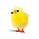 thumbnail image 1 of Polluelo de Pascua Mini adorable Amarillo Craft Portátil Pantalla Artificial Pantalla Artificial Decoración de regalo Casa Nursery Ornaments 60 Piezas Speravity  HA012585-00, 1 of 7