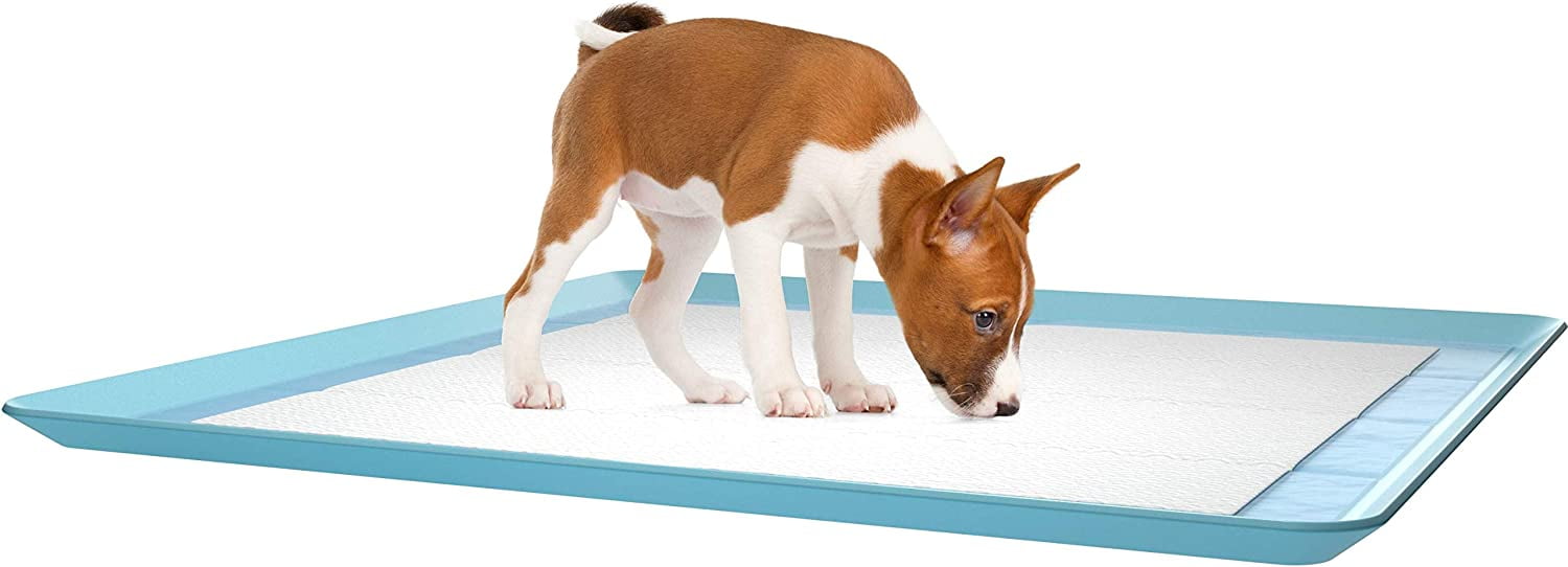 Skywin Dog Pee Pad Holder - 2 Pack Sky Blue No Spill Pee Pad Holder for Dogs - Wee Wee Pad Holder Works with Most Training Pads, Easy to Clean and Store (Sky Blue)