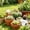 69#White, variant on Heart Plant Labels 100Pcs Garden Plant Markers Waterproof Reusable Plastic Tags Vegetable Herb Flower Identification Stakes For Garden Pots Greenhouse Balcony Home Gardening