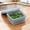 B, variant on Food Storage Containers with Lids Fridge Berry Storage Container with Lid/Strainer Fresh Produce Saver Keeper for Scallion Ginger Garlic Vegetable Fruit Meat Lettuce Happy 2026!