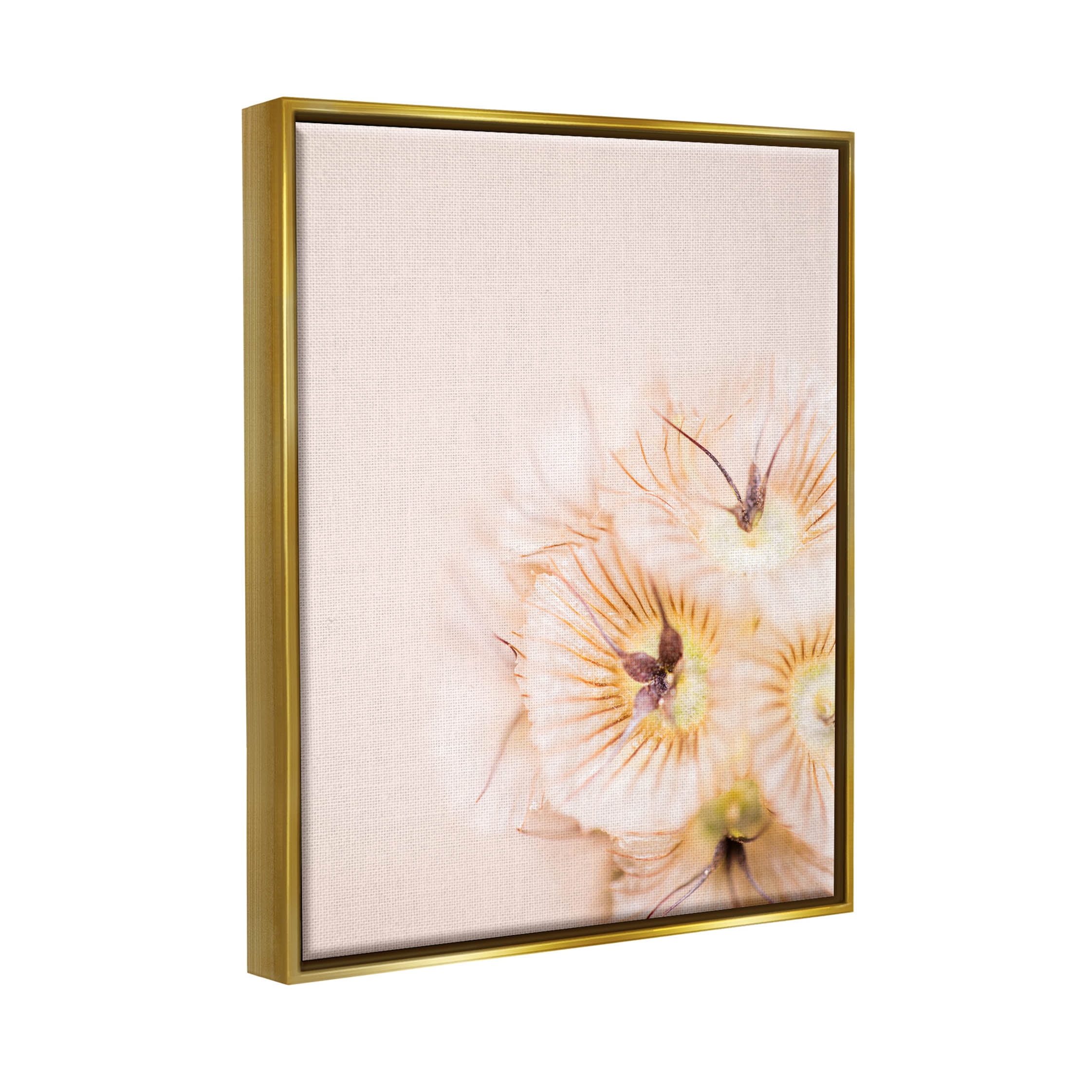 Close Up Pink Flower Anther Botanical & Floral Photograph Metallic Gold Framed Art Print Wall Art