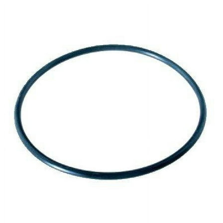 Pentair Lid O-Ring for PowerFlo Pool Pump O-231-9