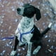 thumbnail image 5 of Correa para perros de entrenamiento de 19.7 pies de largo con mango de espuma para perros pequeños y medianos, azul, 5 of 6