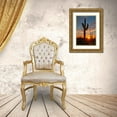 thumbnail image 3 of SMO 11x14 Gold Ornate Wood Framed with Double Matting Museum Art Print Titled - Saguaro cactus in the lower Sonoran desert in southern Arizona, 3 of 4