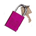 thumbnail image 4 of Morris Products 21652 Padlocks Blue Keyed Alike, 4 of 6