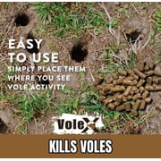 MoleX Mole Killer Bait Pellets for Moles – Poison Free, Pet and Wildlife Safe | Outdoor Use Pellets | 8 oz. Bag - 620204-6D