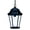 Multi-color, variant on 14 x 9.5 x 9.5 in. Richmond 1-Light Burled Walnut Hanging Light