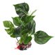 thumbnail image 1 of Plantas de agua de acuario de plástico con adorno de Base de peso planta de simulación de hoja verde Artificial plantas acuáticas subacuáticas para acuario ANGGREK Otros, 1 of 8