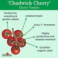 thumbnail image 3 of Burpee ' Chadwick Cherry' Organic | Red Cherry Tomato | 75 Seeds, 3 of 3