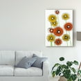 thumbnail image 3 of Trademark Fine Art 'Flower Wheels I' Canvas Art by Regina Moore, 3 of 4