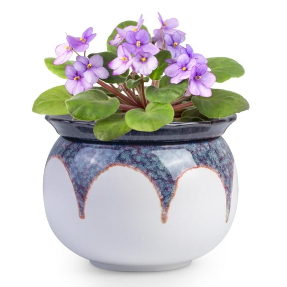 ‌EFISPSS 6" Self-Watering Ceramic Planter for African Violets - Red Gradient | Stylish Home Decor‌