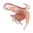 thumbnail image 2 of xinxixnxx Marine Animal Model Solid Simulation Intelligence Learning Toys Pink Lobster, 2 of 9