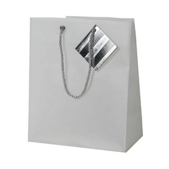 JAM Paper Opaque Gift Bag, 7.5 x 9 x 4, Clear, 1/Pack, Small