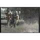 thumbnail image 2 of Call of Duty 4: Modern Warfare Gh PS3 Electronic Arts PS3, 2 of 2
