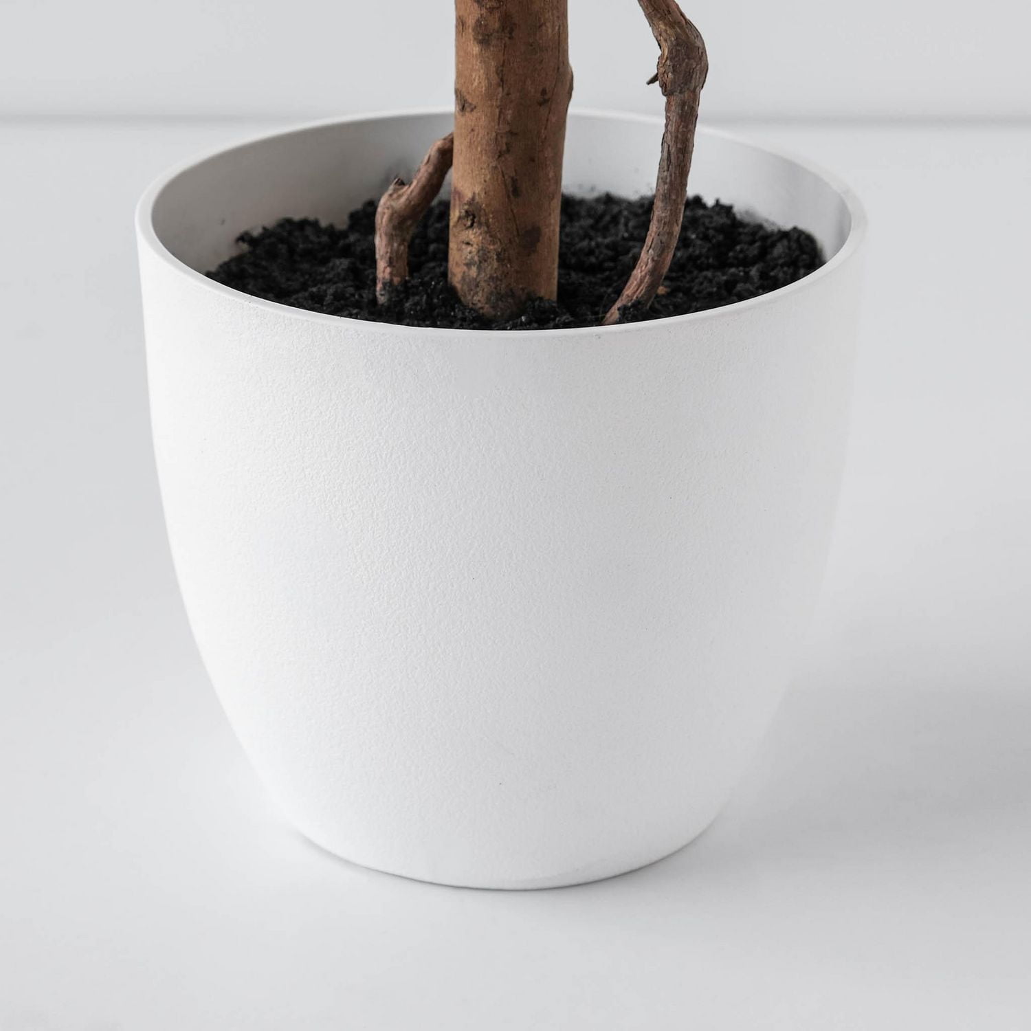 Poinsettia Tree, 59"H