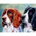 thumbnail image 1 of Cuadros Decorativos 5D DIY diamante pintura animal completo redondo taladro pared arte artesanía decoración del hogar JShteea Nuevos Originales, 1 of 5