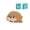 C, variant on Sea Turtles Cute Sea Animals Creature Building Toy Blocks Marine Life Mini Bricks Micro Building Toys