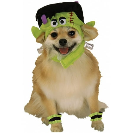 Mini Monster Dog Pet Pet Costume - Large