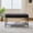 Charcoal, variant on Lisonu Upholstered Ottoman Coffee Table with Storage Shelf, 30.7" Faux Fur Footstool Bench with Black Metal Legs, Modern Foot Rest for Living Room, Bedroom, Entryway, Beige