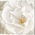 thumbnail image 2 of Great Art Now Neutral Rose by Ramona Murdock 2 Piece Canvas Art Set Each 14"W x 14"H, 2 of 3