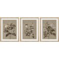 thumbnail image 2 of PixonSign Framed Canvas Print Wall Art Set - Brown and White Sepia Forest Flowers Posters - Set of 3 Pastel Nature Floral Farmhouse/Country Vintage Wall Décor for Bedroom, Office - 11"x14" Natural, 2 of 5